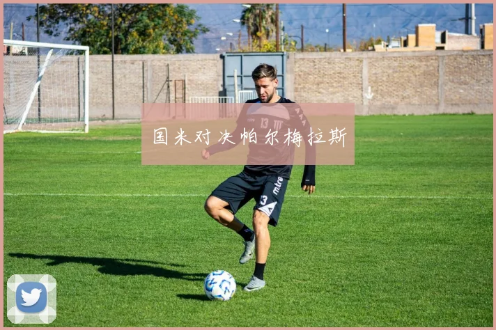 国米对决帕尔梅拉斯
