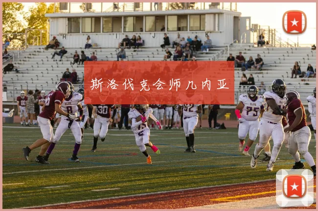 斯洛伐克会师几内亚