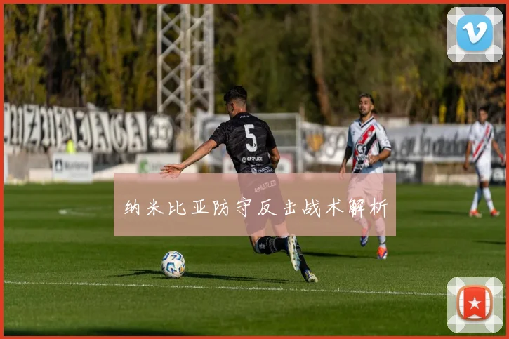 纳米比亚防守反击战术解析
